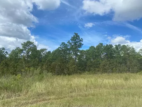 15371 Fleetwood Rd, Weeki Wachee, FL 34614