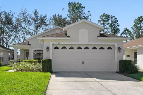 11656 New Haven Dr, Spring Hill, FL 34609