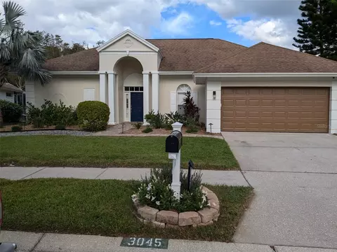 3045 Regal Oaks Blvd, Palm Harbor, FL 34684