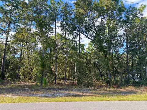 60 Daisy St, Homosassa, FL 34446
