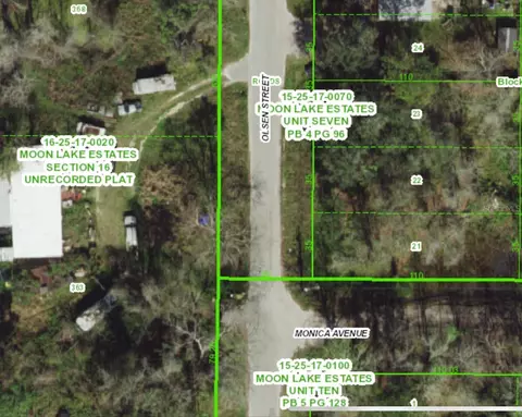 13021 Monica Ave, New Port Richey, FL 34654