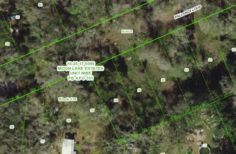 12456 Pallanza Loop, New Port Richey, FL 34654