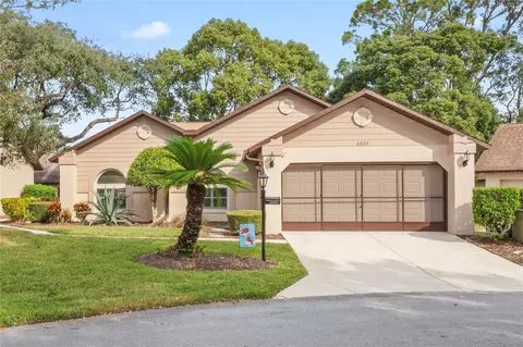 6805 Plumleaf Ct, Spring Hill, FL 34606