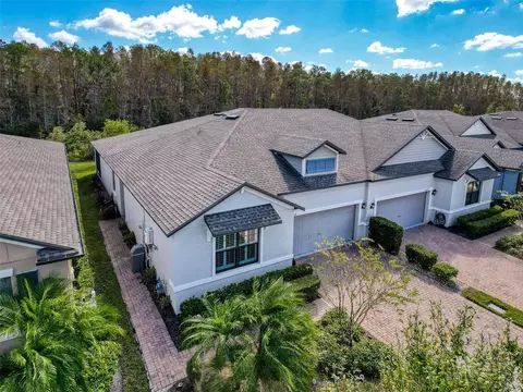17046 Balance Cv, Land O Lakes, FL 34638