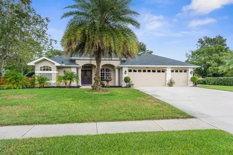 426 Romine Ct, Spring Hill, FL 34609