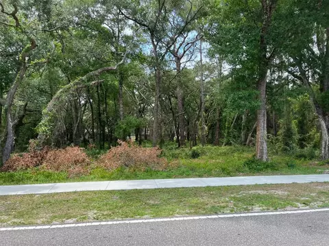 12120 Hicks Rd, Hudson, FL 34669 photo 6