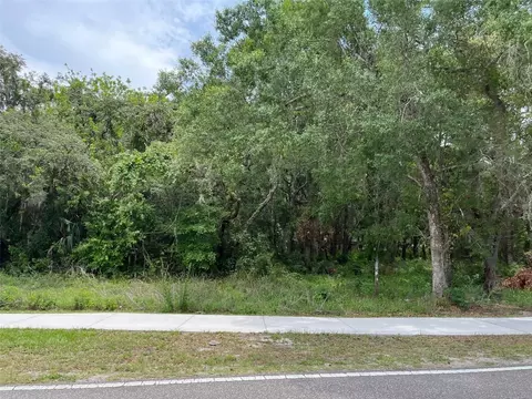 12120 Hicks Rd, Hudson, FL 34669 photo 5