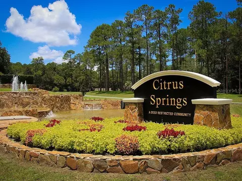 3755 W Wilhelm St, Citrus Springs, FL 34433