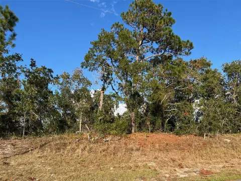 Trumbull Drive, Spring Hill, FL 34609