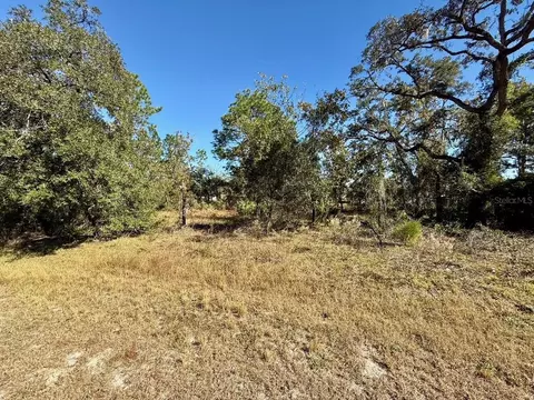 13063 Johnathan Dr, Weeki Wachee, FL 34614