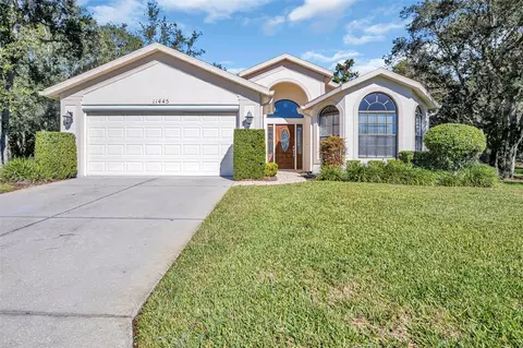 11445 Deercroft Ct, Spring Hill, FL 34609 photo 1