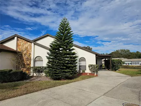9163 Lingrove Rd, Weeki Wachee, FL 34613