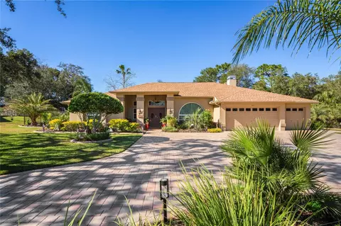 247 Oriana Dr, Spring Hill, FL 34609