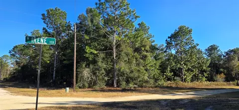 8359 N Irene Ter, Crystal River, FL 34428
