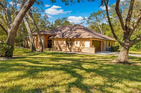 7443 Oak Tree Ln, Spring Hill, FL 34607 photo 1