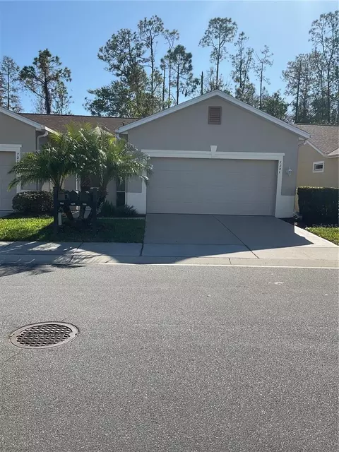 7221 Cleopatra Dr, Land O Lakes, FL 34637