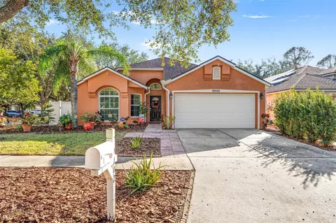 9202 Fawn Crossings Ct, Tampa, FL 33626