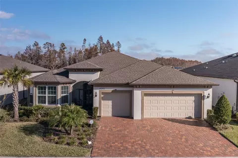 19293 Ship Wheel Way, Land O Lakes, FL 34638