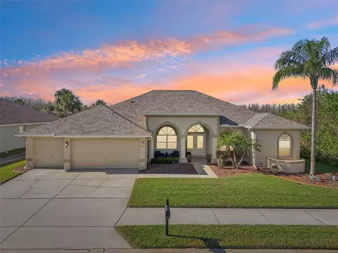 7302 Melogold Cir, Land O Lakes, FL 34637
