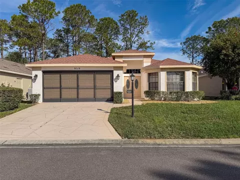 9519 Green Needle Dr, New Port Richey, FL 34655