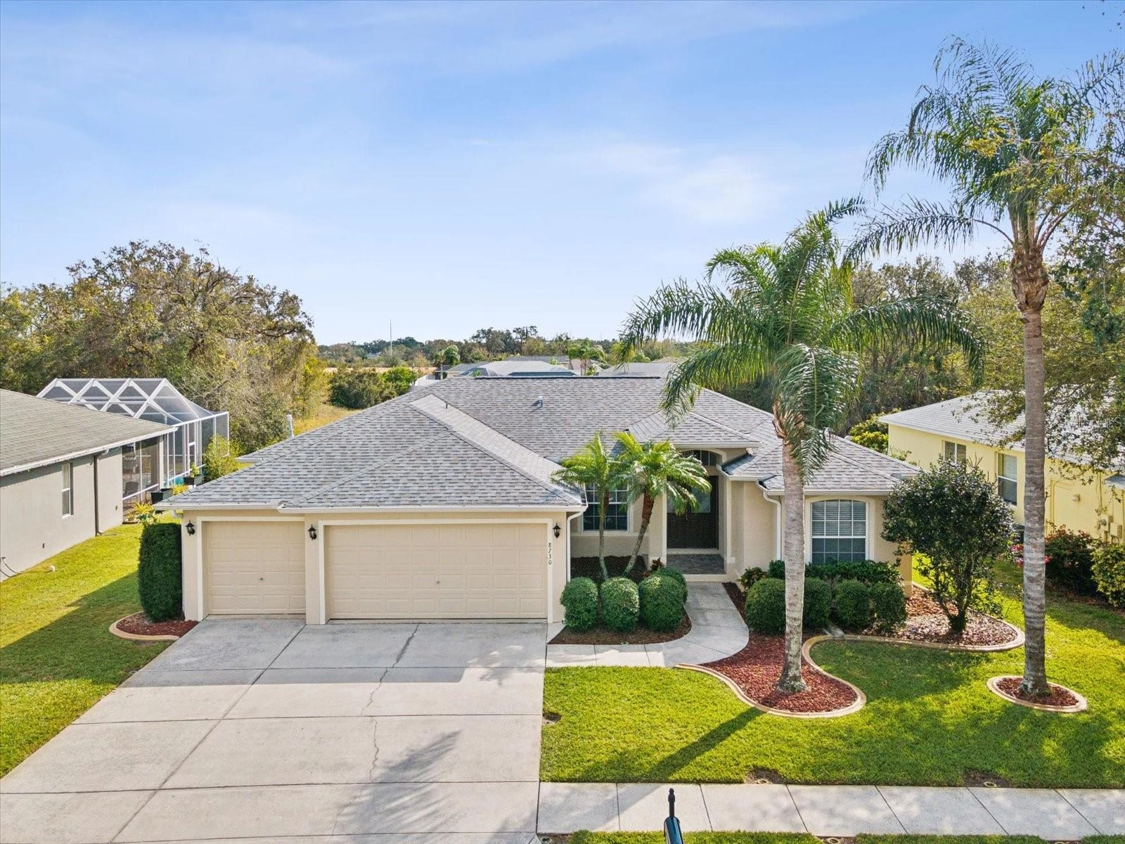 8730 Torchwood Dr, Trinity, FL 34655 photo 1