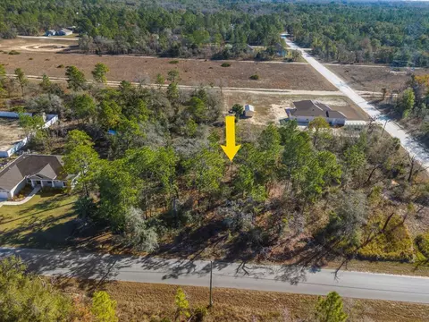 Dusky Warbler Road, Brooksville, FL 34614