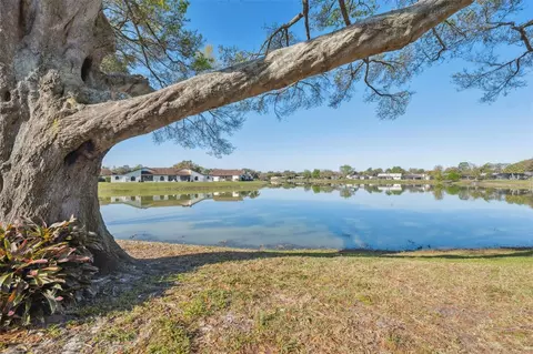 7414 Heather Walk Dr, Weeki Wachee, FL 34613