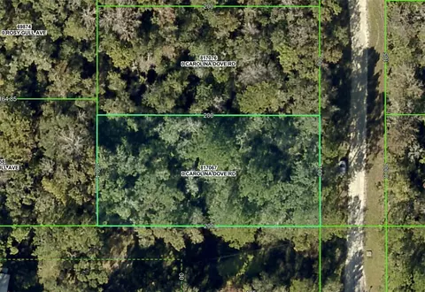 lot3 Carolina Dove Rd, Weeki Wachee, FL 34614