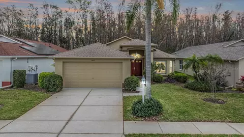 1007 Sweet Jasmine Dr, Trinity, FL 34655
