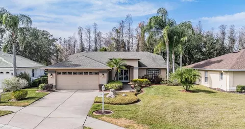 1413 Morning Rose Pl, Trinity, FL 34655