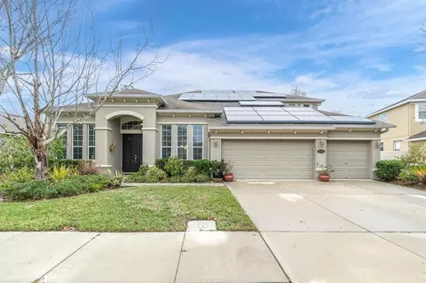 20240 Ravens End Dr, Tampa, FL 33647