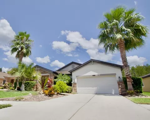 8424 Bluevine Sky Dr, Land O Lakes, FL 34637