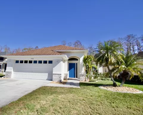 1638 Orchardgrove Ave, New Port Richey, FL 34655