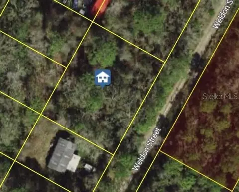Weldon Street, New Port Richey, FL 34654