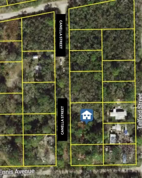 Canella Street, New Port Richey, FL 34654