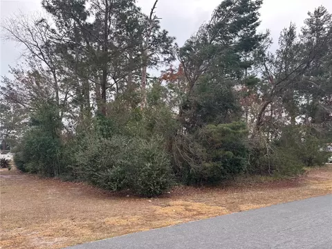 0 Keysville Ave, Spring Hill, FL 34608
