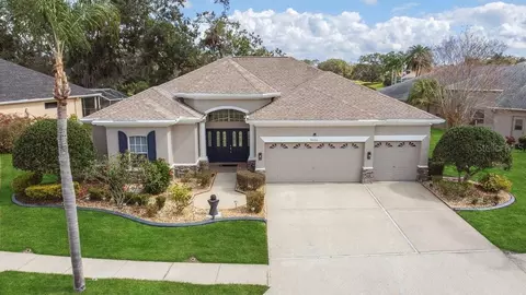 9033 Callaway Dr, Trinity, FL 34655