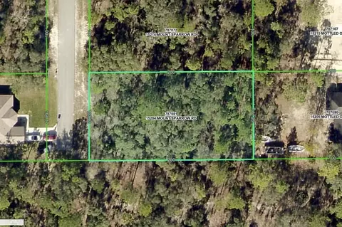15204 Mount Sparrow Rd, Weeki Wachee, FL 34614