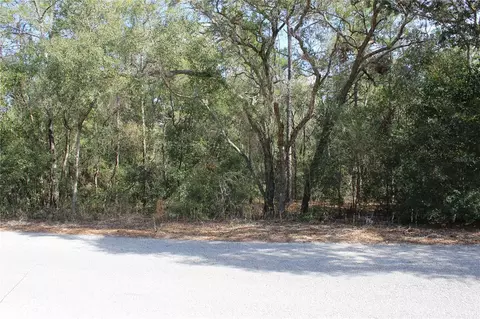 11715 S Rural Ter, Floral City, FL 34436