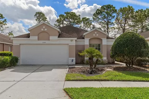 5548 Cannonade Dr, Wesley Chapel, FL 33544