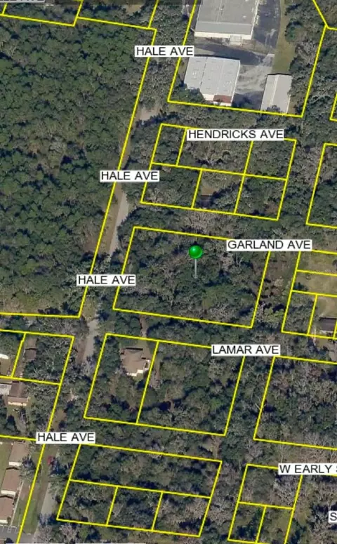 Hale Avenue, Brooksville, FL 34601