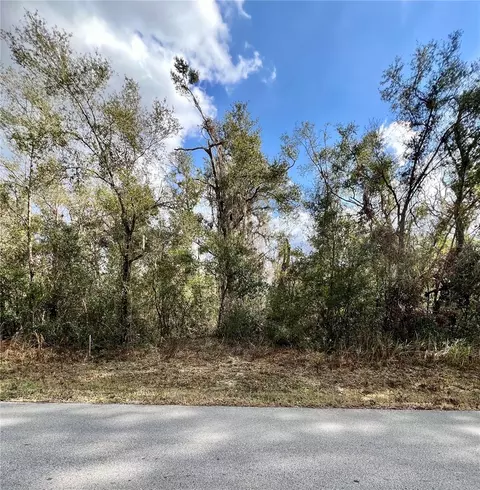 Smallman Street, Webster, FL 33597