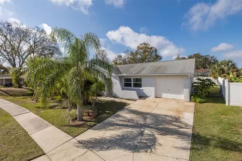4369 Black Fox Dr, New Port Richey, FL 34653