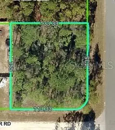 0 Downy Woodpecker Rd, Weeki Wachee, FL 34614