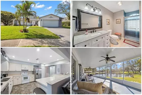 2862 Lomond Dr, Palm Harbor, FL 34684