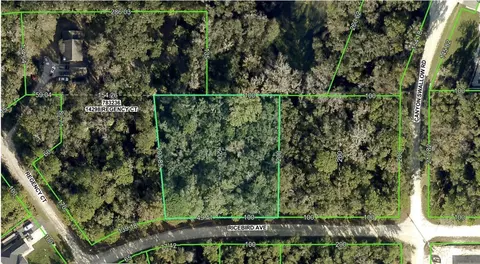 0 Ricebird Ave, Brooksville, FL 34614