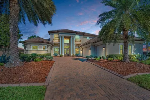 10309 Altrara Way, Trinity, FL 34655