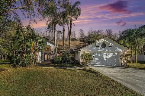 4739 Mahogany Ct, Land O Lakes, FL 34639