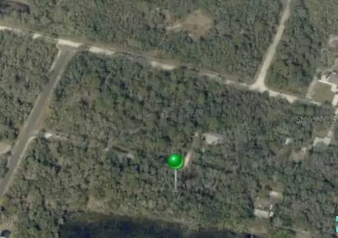 35022 Batesfield St, Webster, FL 33597