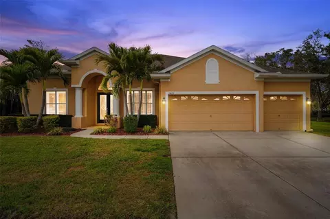 2425 Tarragon Ln, Trinity, FL 34655